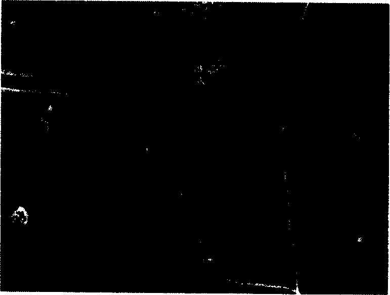 Carbon-fiber reinforced silicon carbide composite material antioxidation coating layer and its preparation method