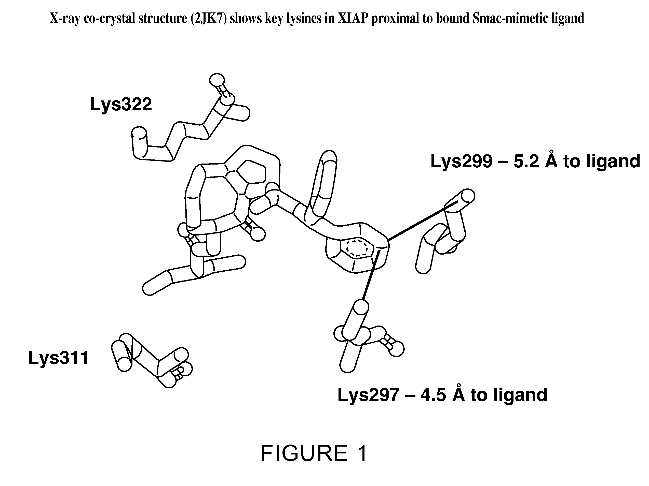 Ligand-directed covalent modification of protein