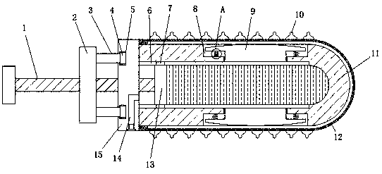 Efficient clinical vagina cleaning device for gynecology department