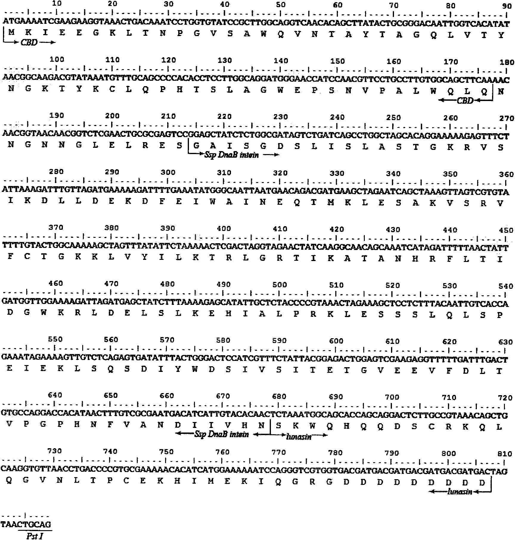 Method for separating and purifying fusion protein containing chitin binding domain