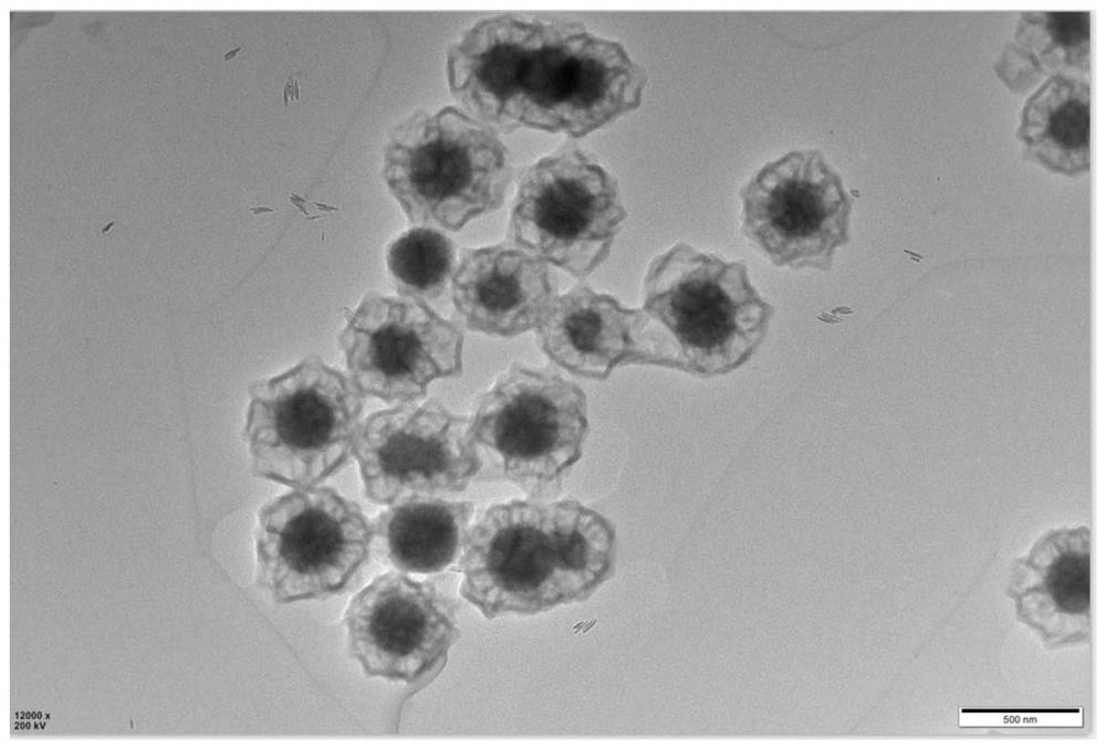 Removal of organic pollutants in wastewater based on rattle-shaped nanocomposites