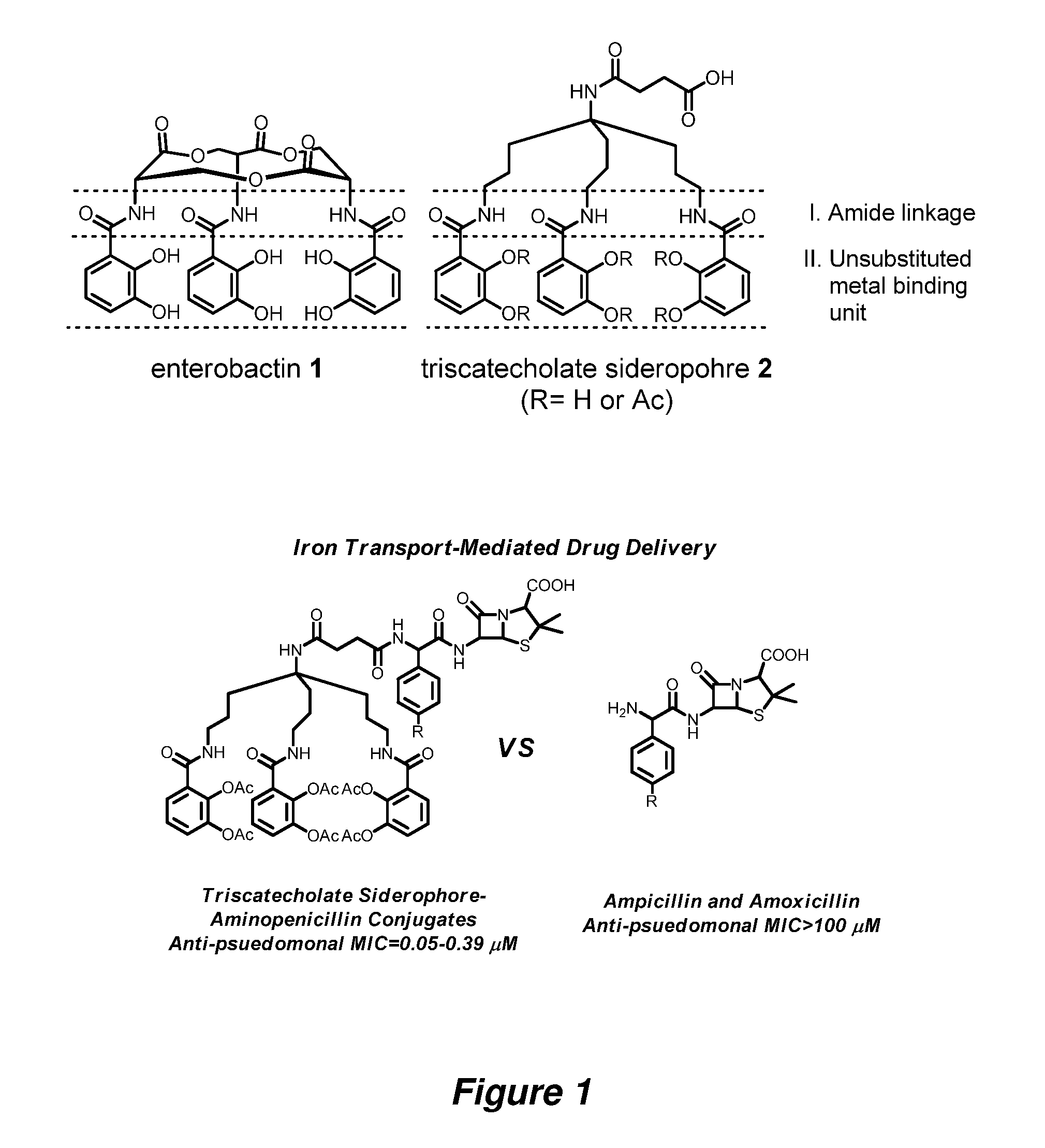 Anti-bacterial siderophore-aminopenicillin conjugates