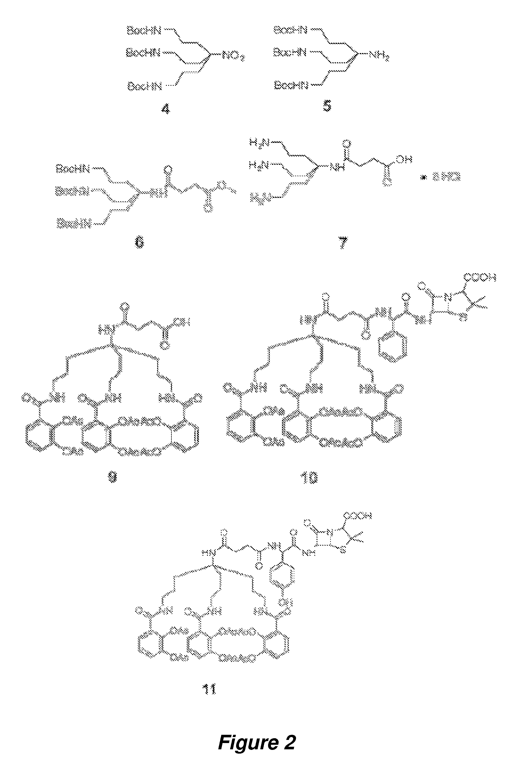 Anti-bacterial siderophore-aminopenicillin conjugates