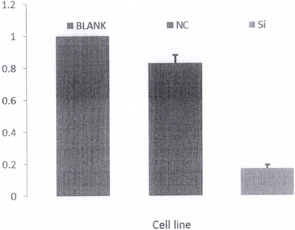 Long non-coding RNA and application thereof