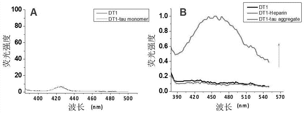 Molecule specifically bind to Tau protein and capable of inhibiting Tau protein aggregation, preparation method and application thereof