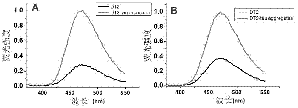 Molecule specifically bind to Tau protein and capable of inhibiting Tau protein aggregation, preparation method and application thereof