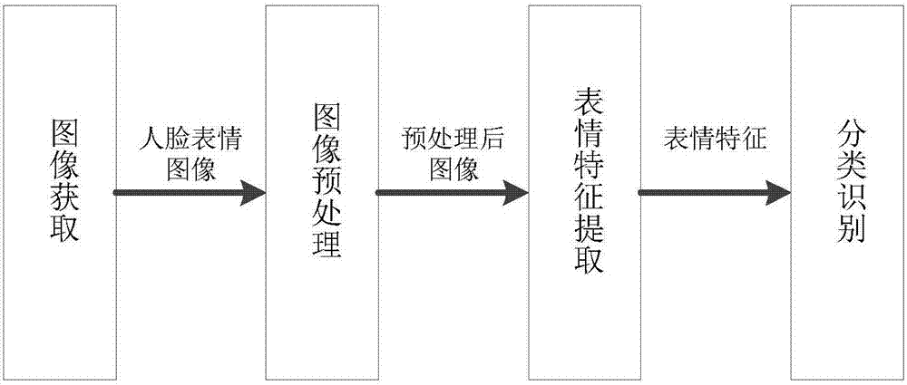 Human face expression recognition method based on Curvelet transform and sparse learning