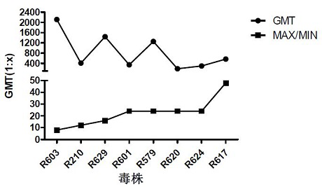 Coxsackie virus a10 strain and its application