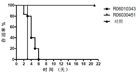 Coxsackie virus a10 strain and its application