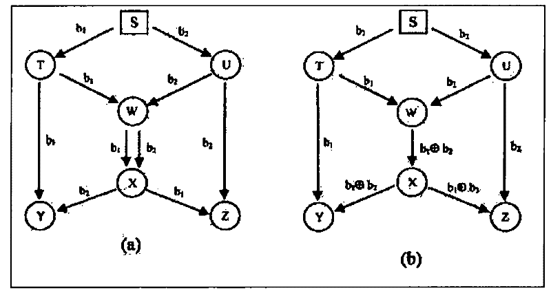 Wireless network multi-path routing network transmission method