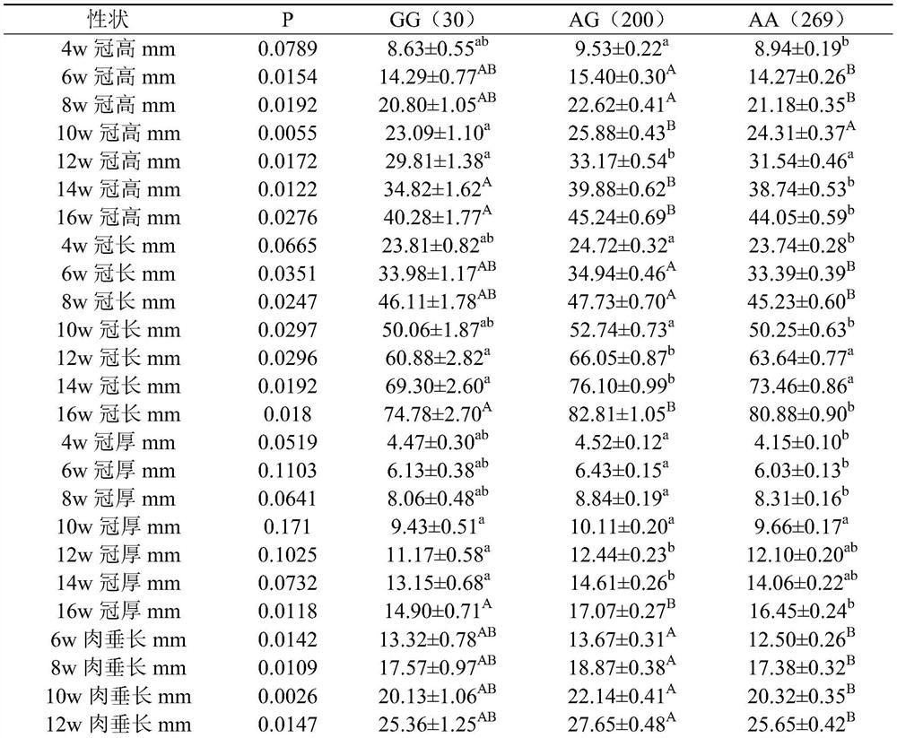 Detection method and application of correlation between garnl1 gene and rooster comb and wattle traits