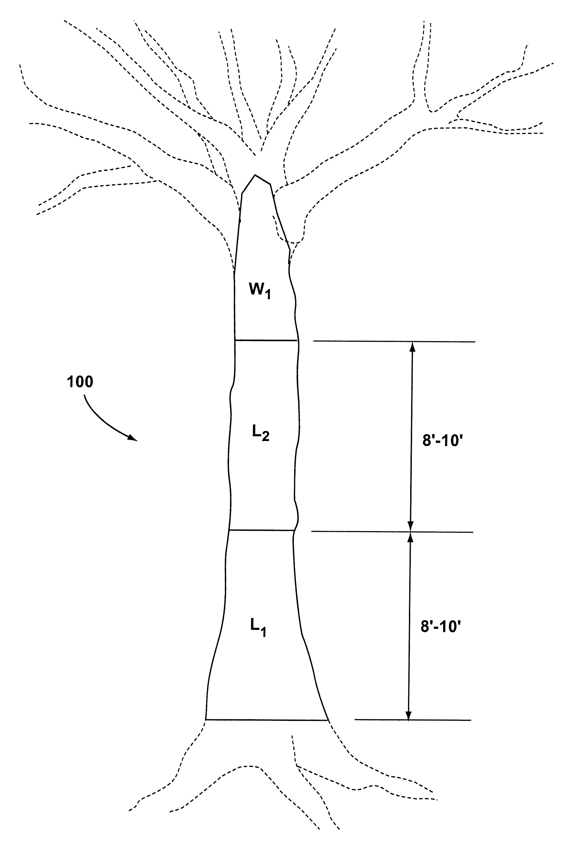 Systems and methods for forest harvest management