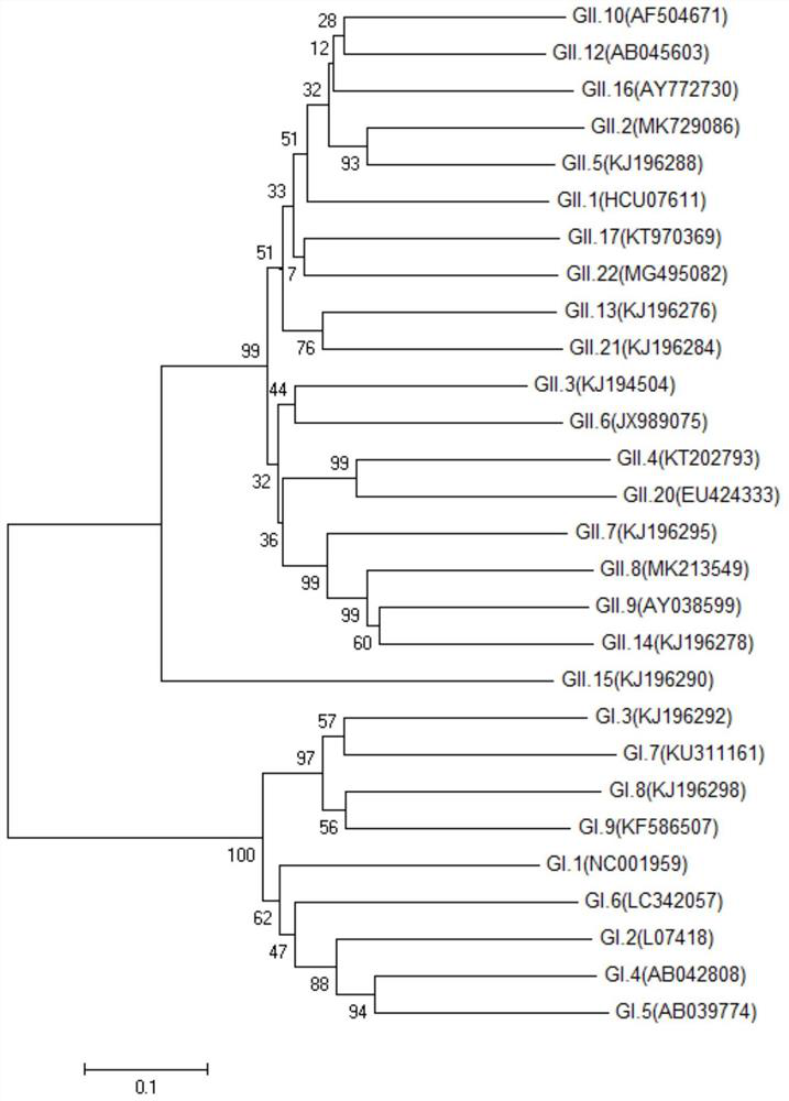 ELIS method and kit for panoramic identification of intra-genus broad spectrum of human norovirus antibody