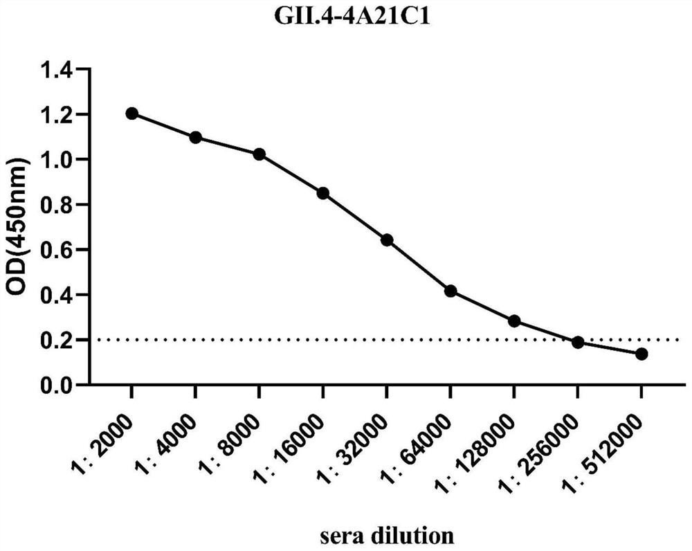 ELIS method and kit for panoramic identification of intra-genus broad spectrum of human norovirus antibody