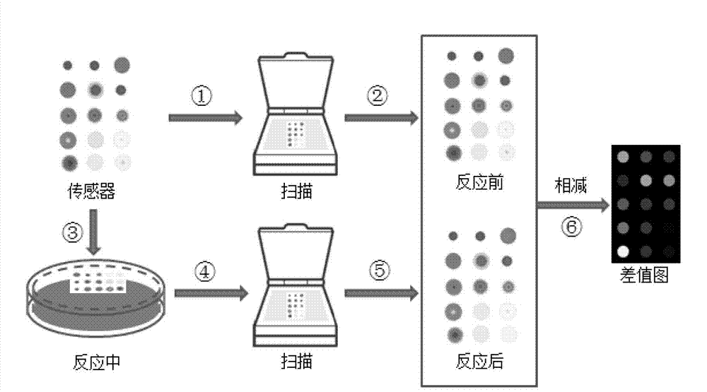 Olfactory imaging sensing technology based yellow wine storage time identification method and identification system