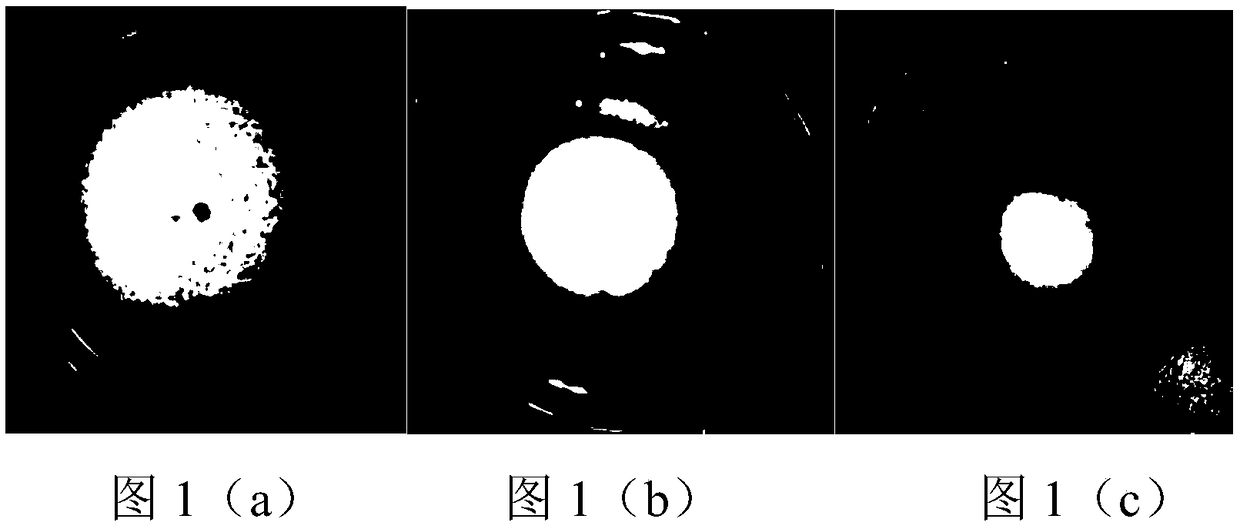 Albizzia julibrissin Durazz. endophytic bacterium H6 ferment suspended seed coating, and preparation method thereof