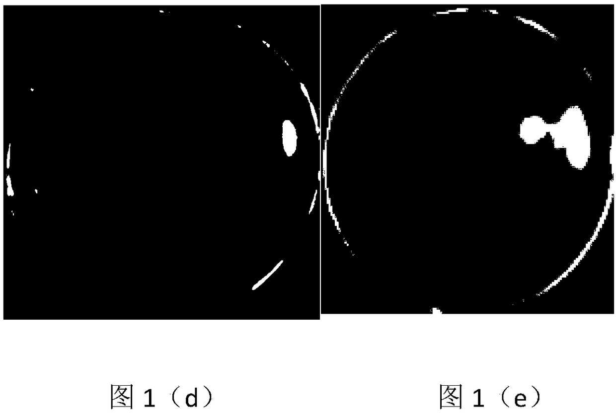 Albizzia julibrissin Durazz. endophytic bacterium H6 ferment suspended seed coating, and preparation method thereof