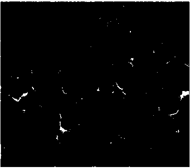 Methods for preparing nanometer cerium dioxide having specific crystal faces