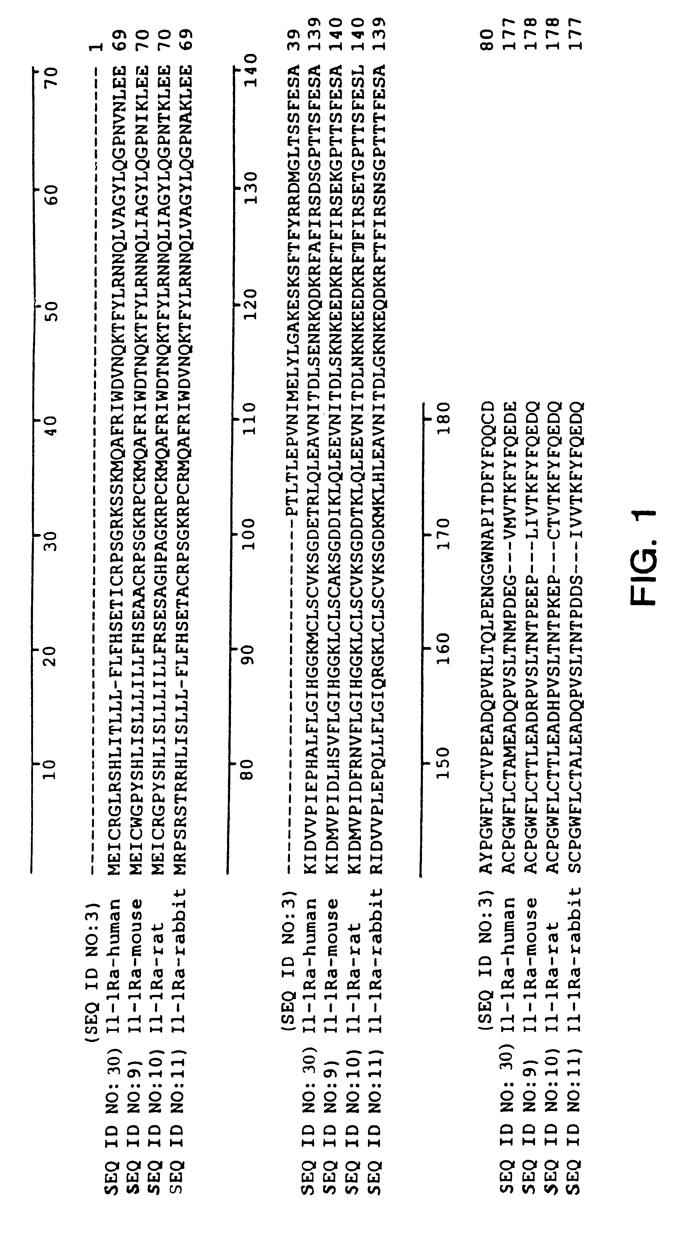 Interleukin-1 receptor antagonist and recombinant production thereof