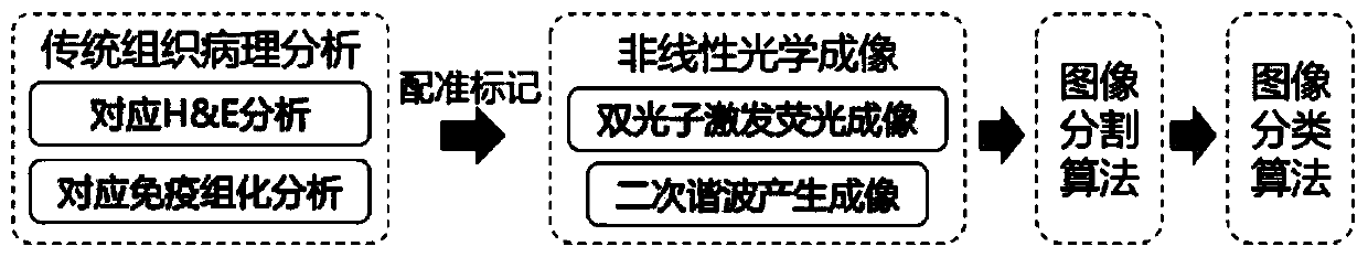 Nonlinear optical image recognition method based on deep learning and feature enhancement