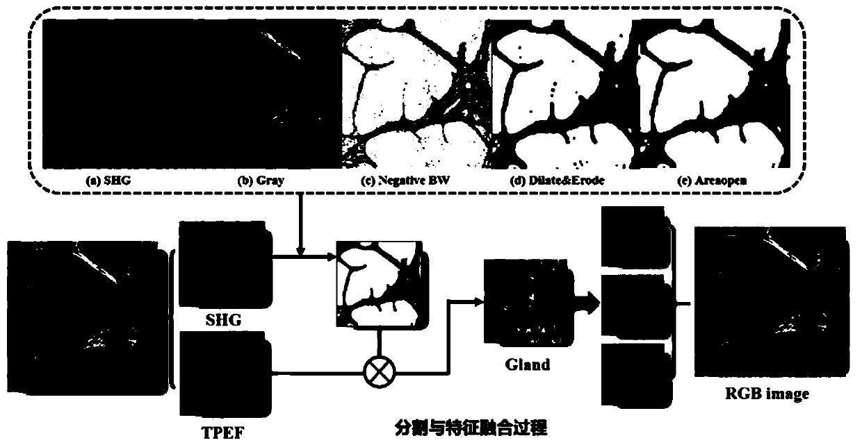 Nonlinear optical image recognition method based on deep learning and feature enhancement