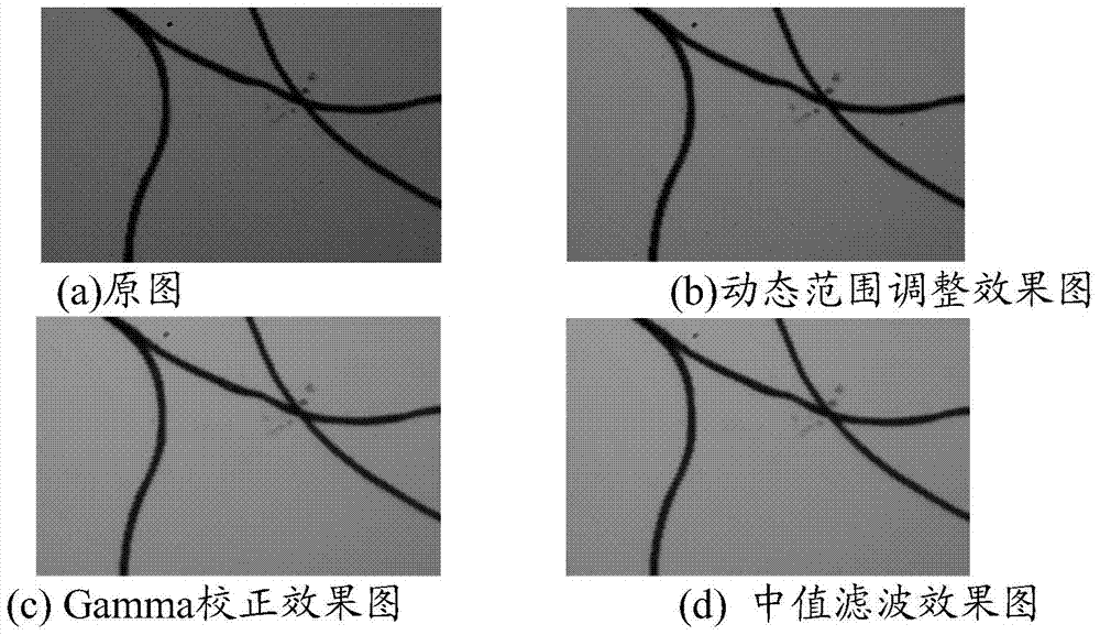 Wool fineness automatic measuring method