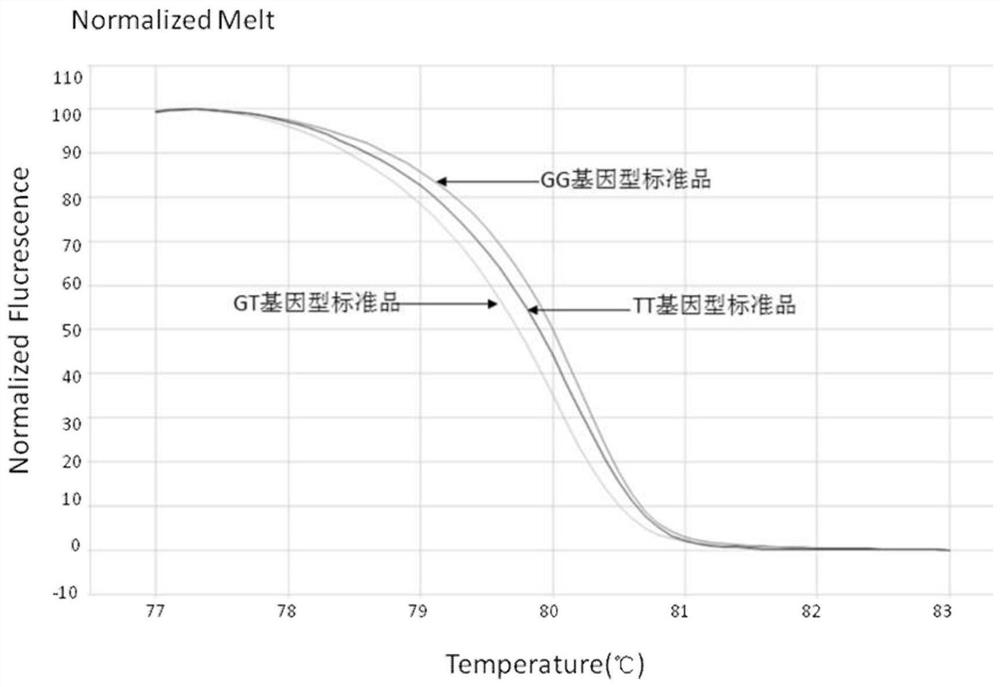 Primers, method and test kit for detecting SNP site of gene PEAR1