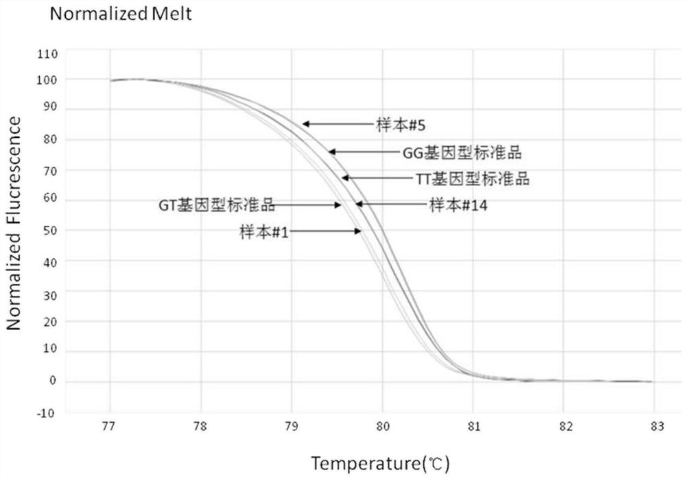 Primers, method and test kit for detecting SNP site of gene PEAR1