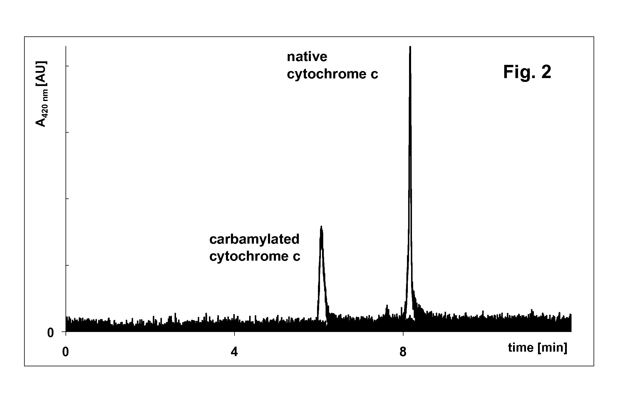 Chemical modification of proteins for their more accurate molecular-weight determination by electrophoresis