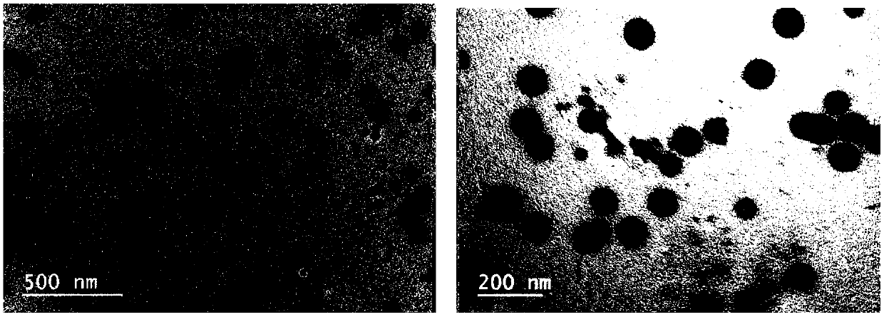 Application of polysaccharide functionalized nano-selenium to selenium-enriched rice planting