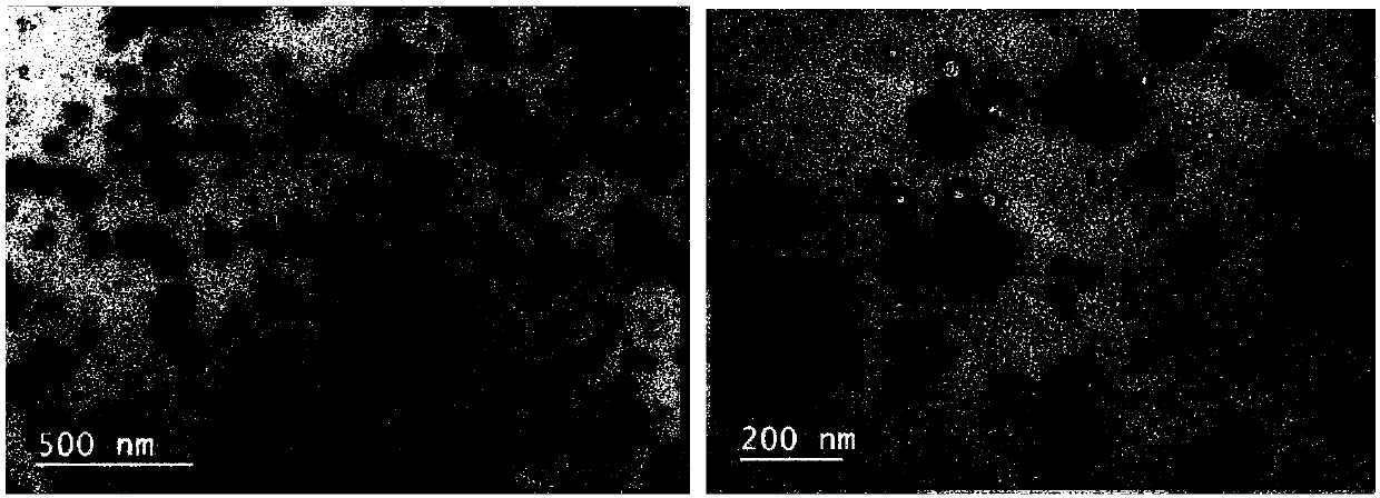 Application of polysaccharide functionalized nano-selenium to selenium-enriched rice planting