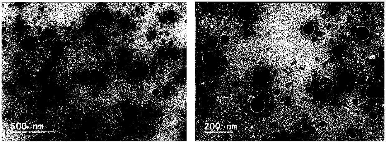 Application of polysaccharide functionalized nano-selenium to selenium-enriched rice planting