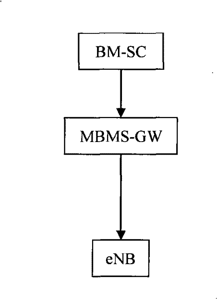 Method for implementing multimedia broadcast multicast service