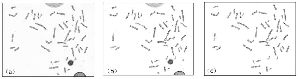 Chromosome image processing method and system