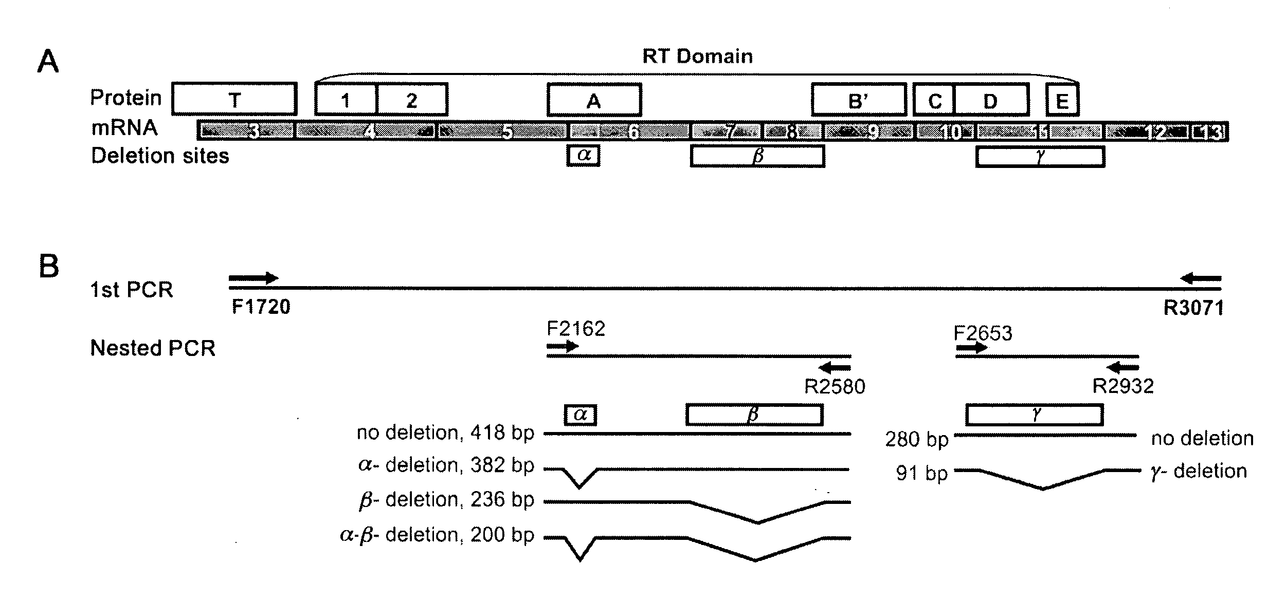 ALTERNATIVE SPLICE VARIANT PATTERNS OF HUMAN TELOMERASE REVERSE TRANSCRIPTASE (hTERT) IN THYROID TUMORS TO DISTINGUISH BENIGN FROM MALIGNANT