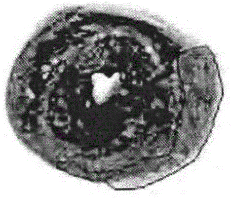 Application of radioisotope-labeled monoanthranuclear anthraquinone compounds in the preparation of drugs for detecting myocardial activity