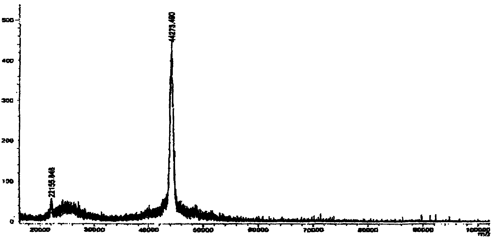 Monoclonal antibody of ractopamine and preparation method and application thereof