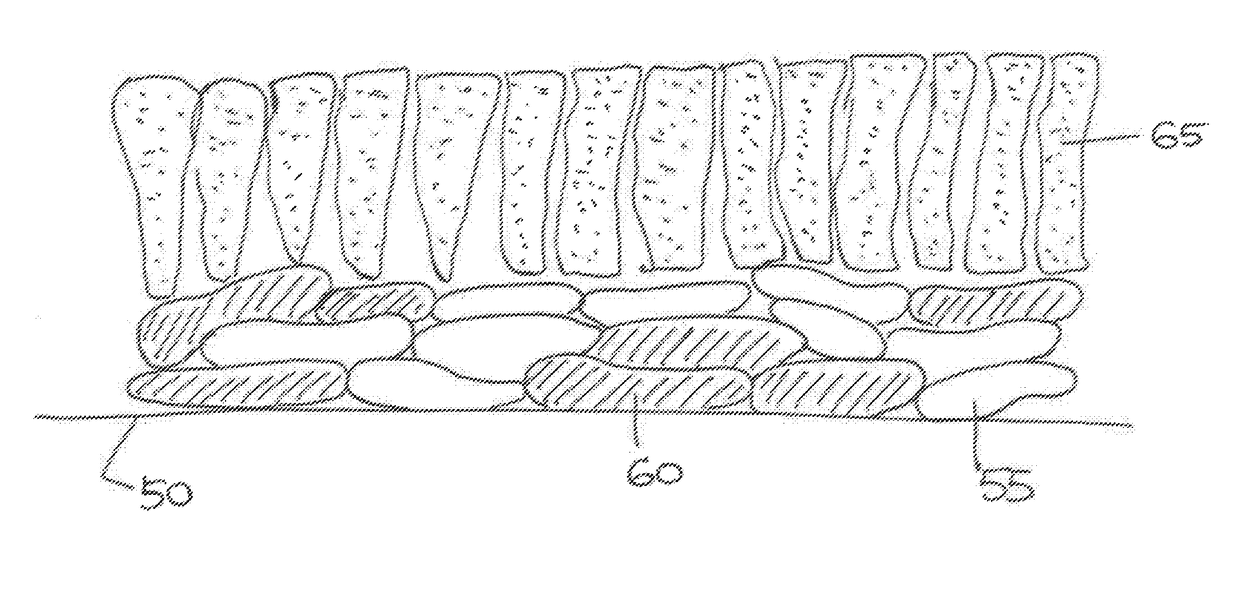 Thermally sprayed resistive heaters and uses thereof