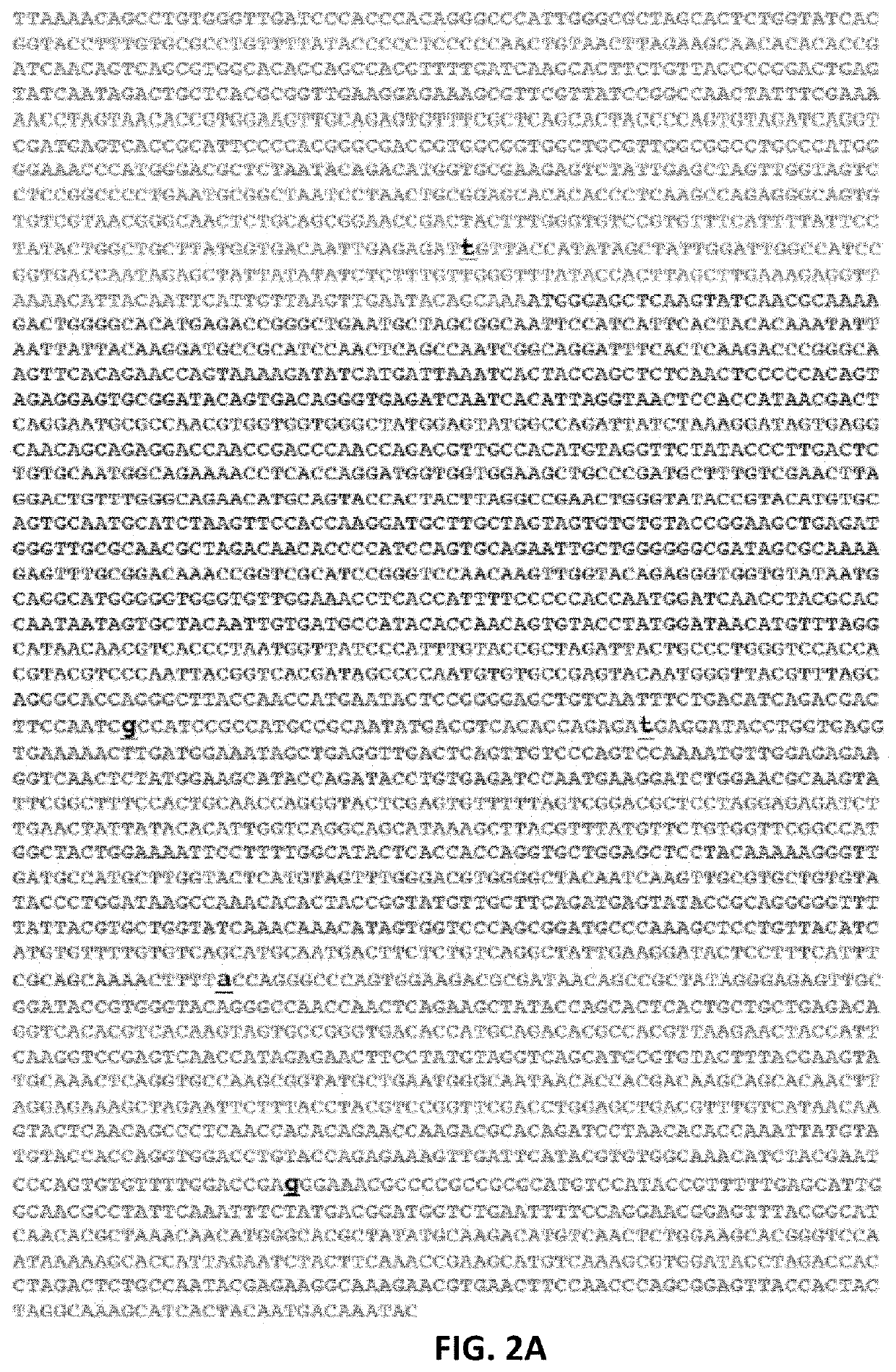 Method for treating cancer with a Coxsackievirus B3 (CVB3) variant