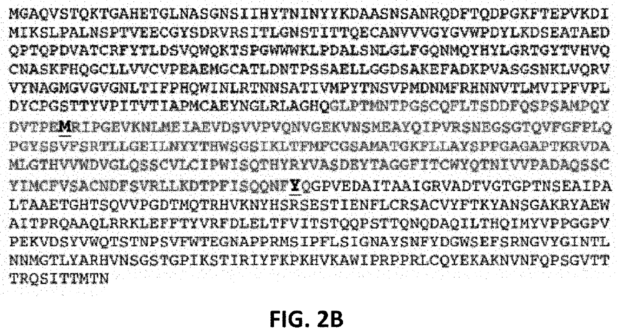 Method for treating cancer with a Coxsackievirus B3 (CVB3) variant