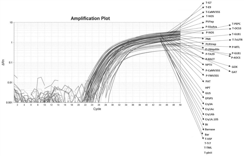 Plasmid standard molecule capable of being used for detecting multiple crops and multiple exogenous genes