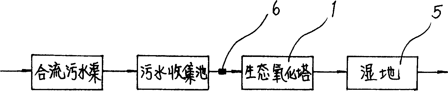 Compositive zoology and oxidation method for treating domestic sewage