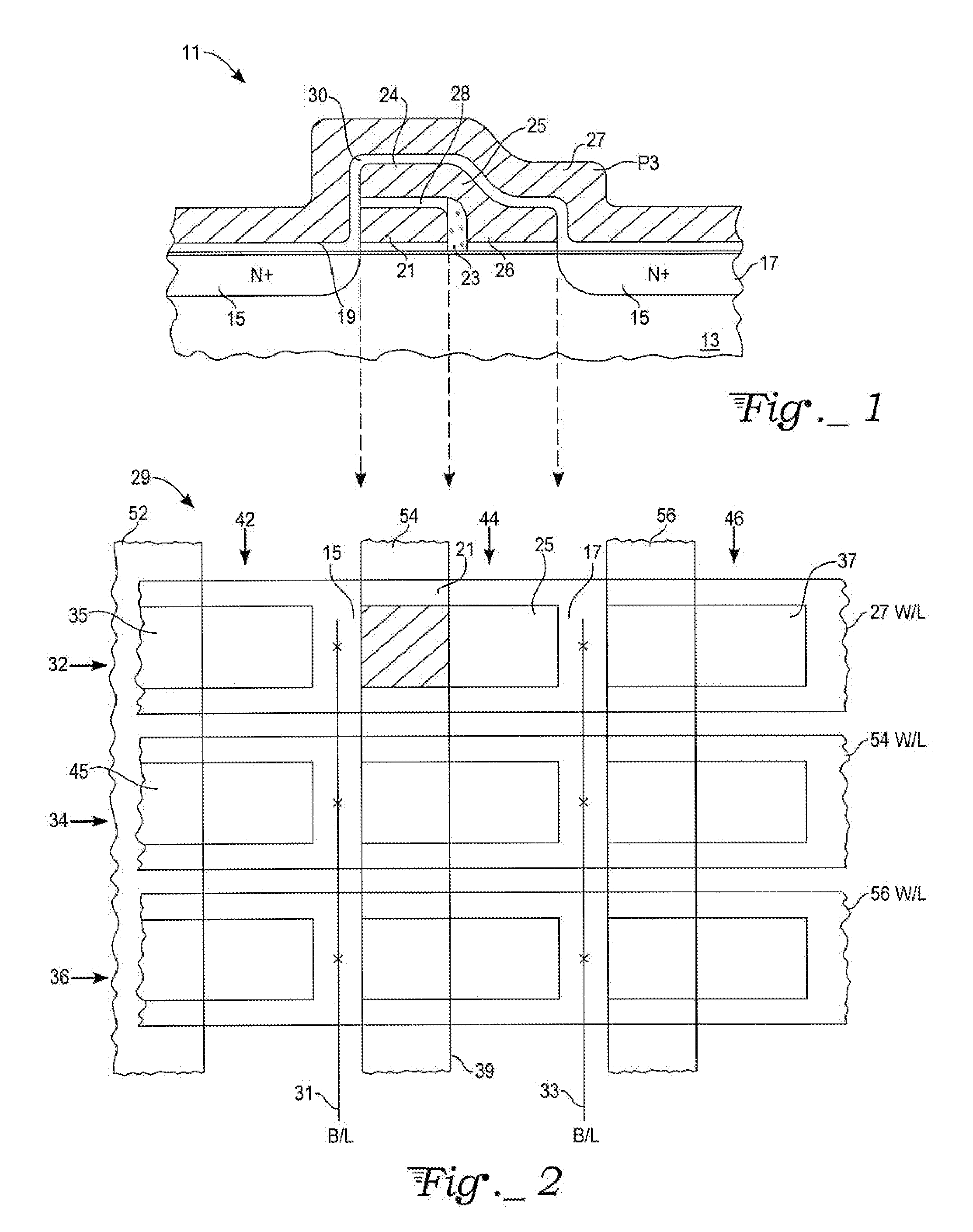 Eeprom memory array having 5f2 cells