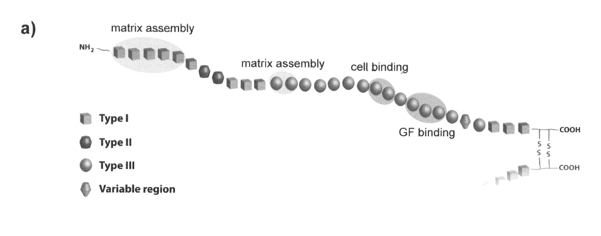 Materials And Methods For Tissue Regeneration