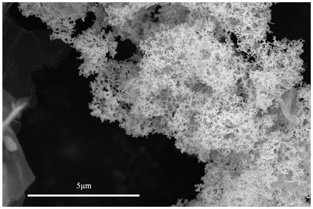 Preparation method of coralline-like Pd4Se compound