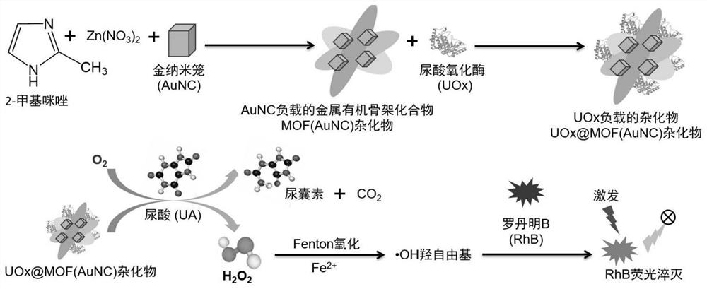 Leaf-shaped metal organic framework nano artificial enzyme hybrid and preparation method of tandem catalytic fluorescent probe from enzyme hybrid