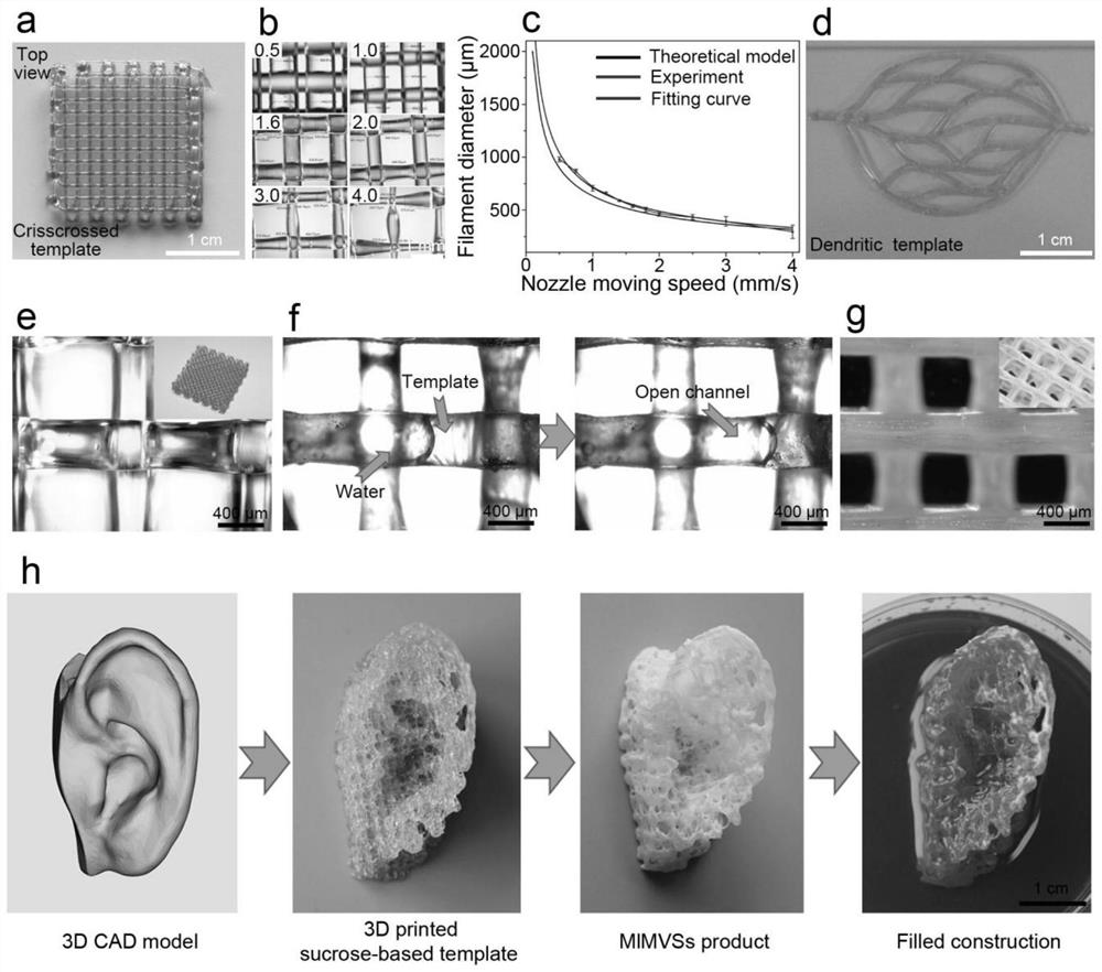 Preparation method of a bionic vascular network tissue engineering scaffold with multi-level structure