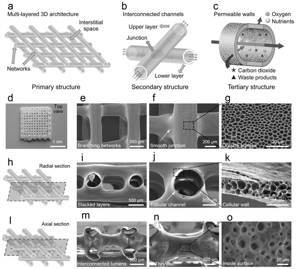 Preparation method of a bionic vascular network tissue engineering scaffold with multi-level structure