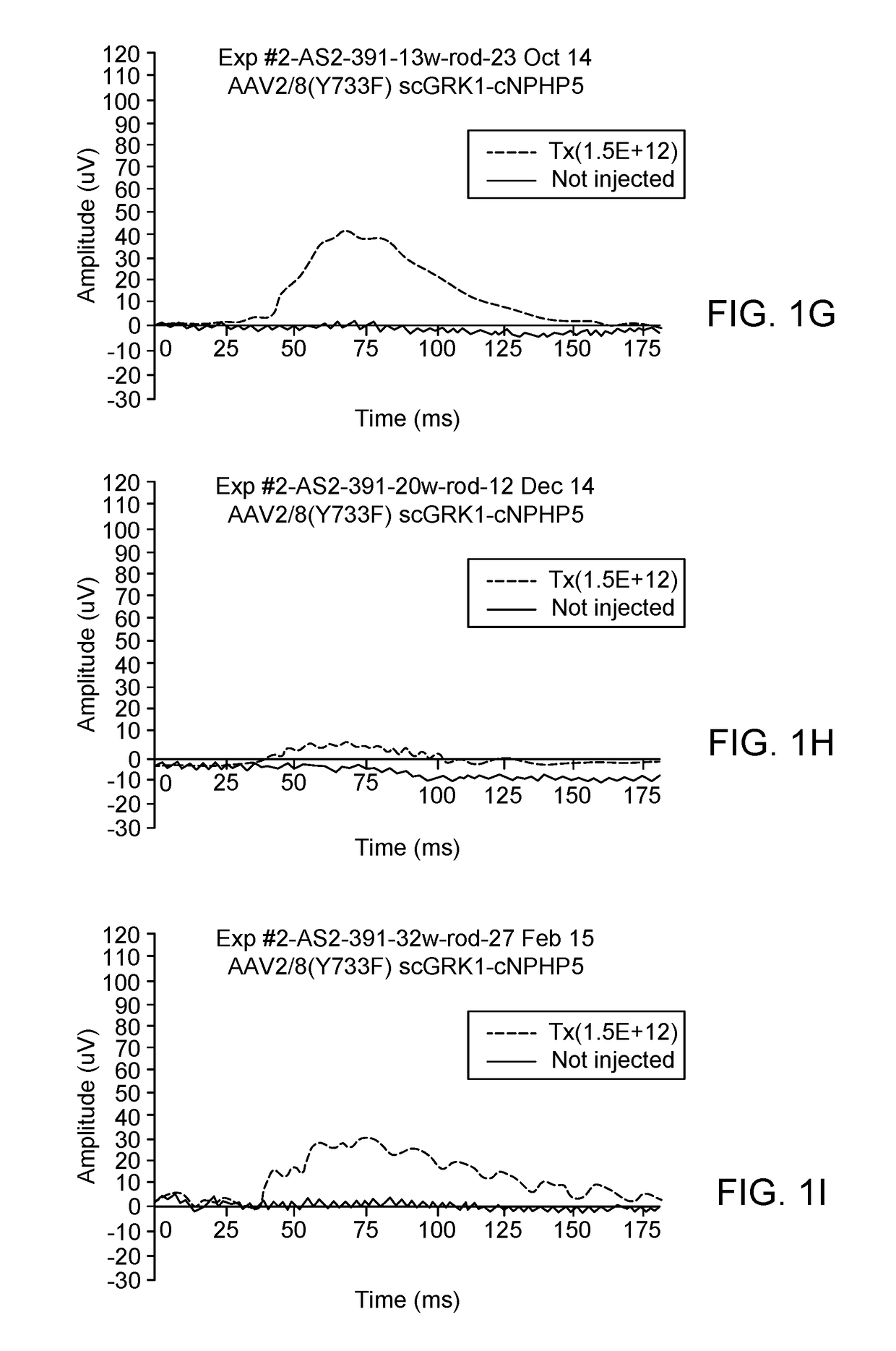 Aav-mediated gene therapy for nphp5 lca-ciliopathy