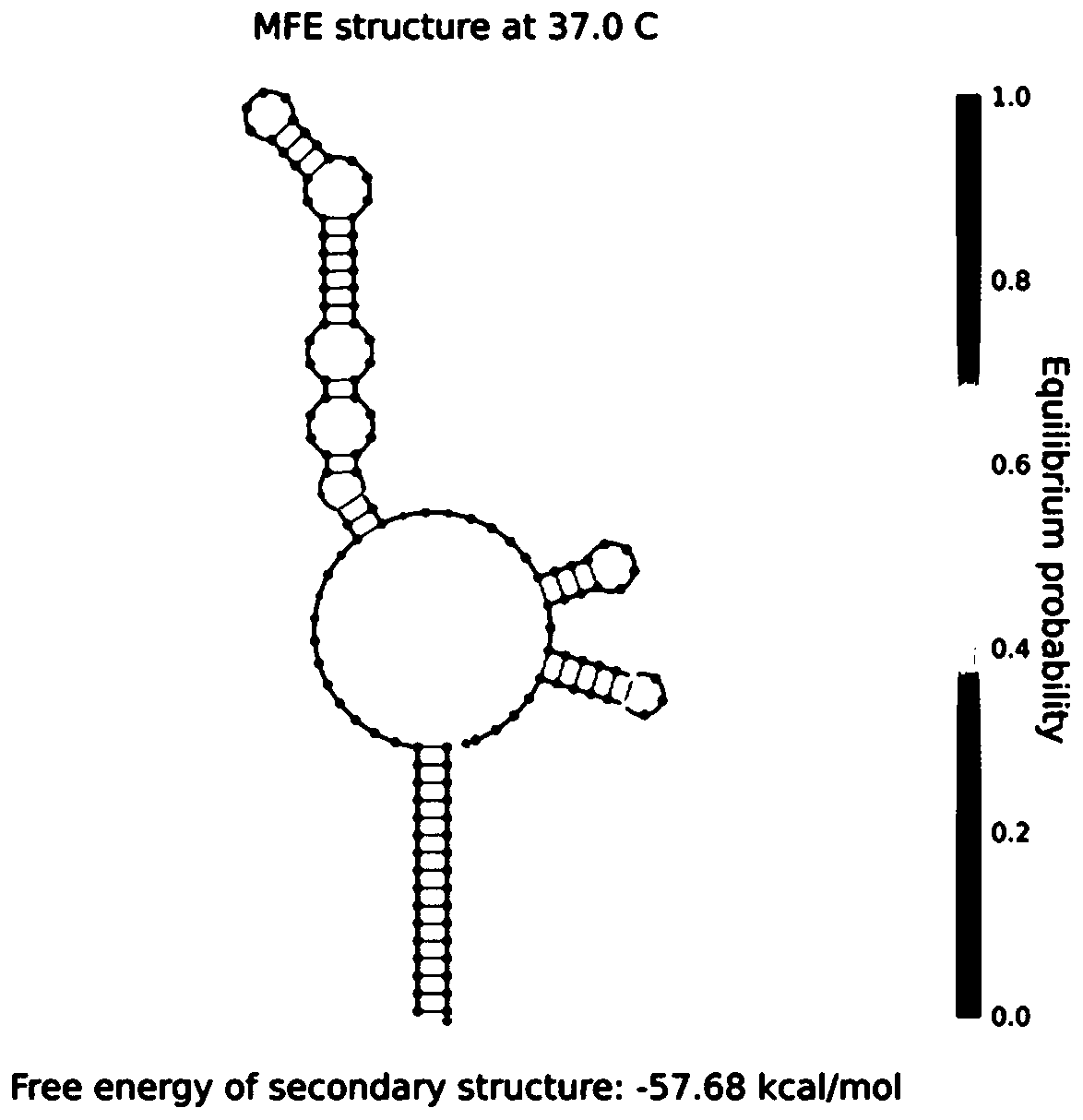 CRISPR-Cas9-based nucleic acid detection system and application thereof